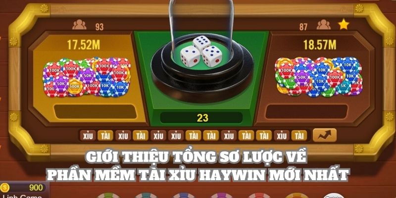 Giới thiệu tổng sơ lược về phần mềm Haywin mới nhất