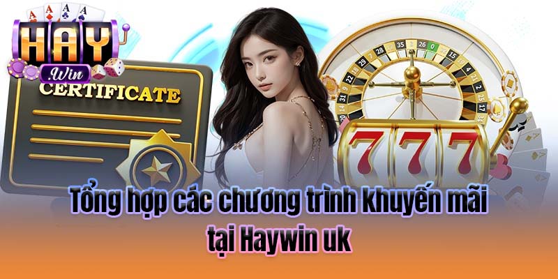 Tổng hợp các chương trình khuyến mãi tại Haywin uk