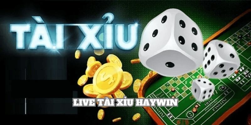 Live Tài Xỉu Haywin