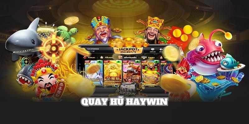 Quay hũ Haywin