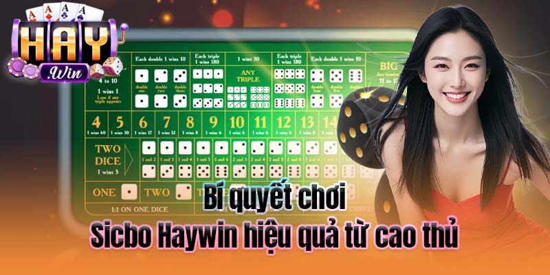 Bí quyết chơi Sicbo Haywin hiệu quả từ cao thủ